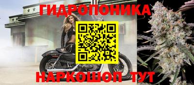 прущие грибы Анжеро-Судженск