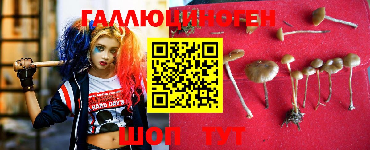 Псилоцибиновые грибы Psilocybine cubensis  Вход с VPN  Галлюциногенные грибы Magic Shrooms  Соликамск 