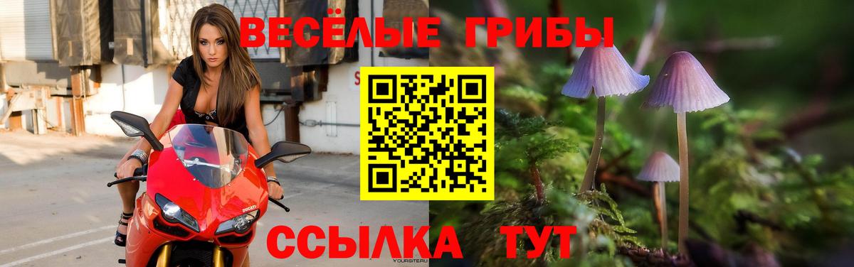 Псилоцибиновые грибы Cubensis Соликамск